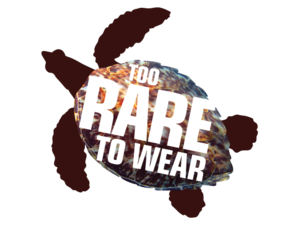 Toorare.large 300x225 1