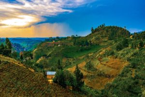 terraced fields in uganda[1]