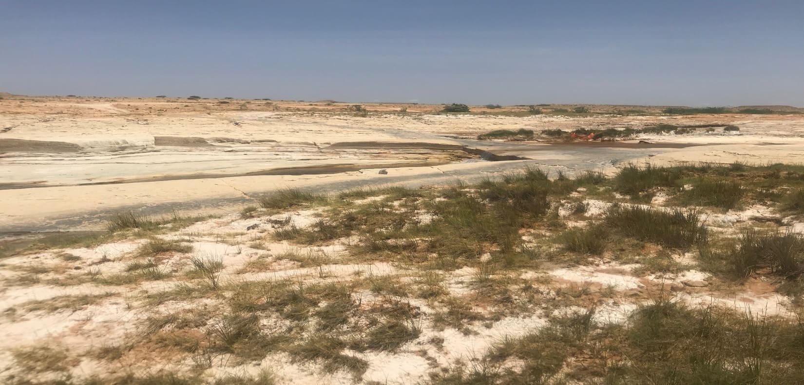 Degraded riparian land around river bed near Garowe, Puntland. Photo World Agroforestry Jonathan Muriuki_0 (1) (1)