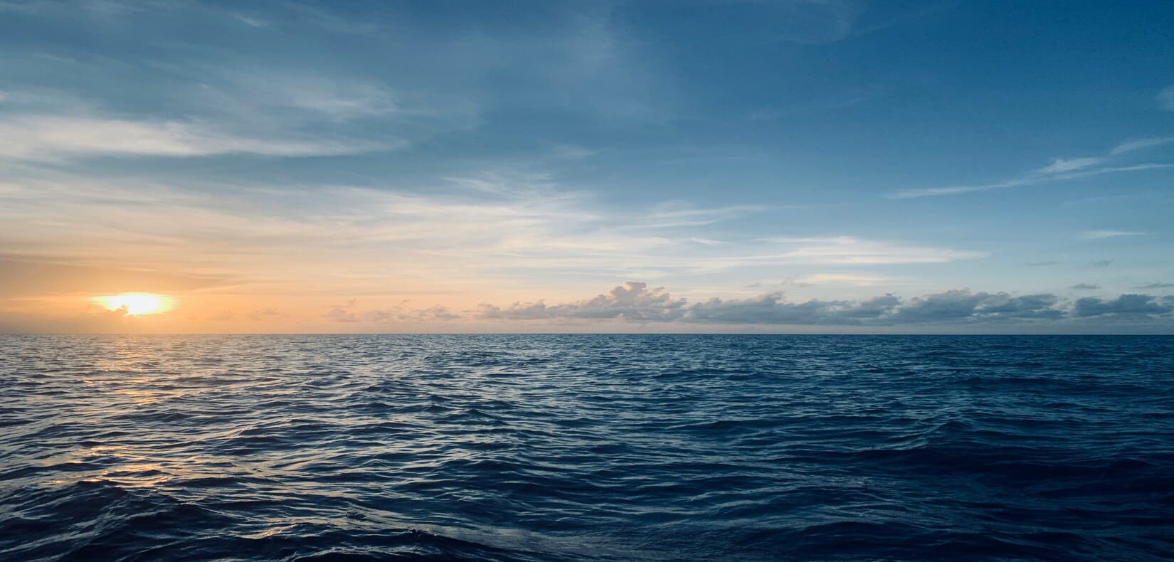jeremy-ducray-Zq0VF8Hqiq8-unsplash (1) (1) (1)