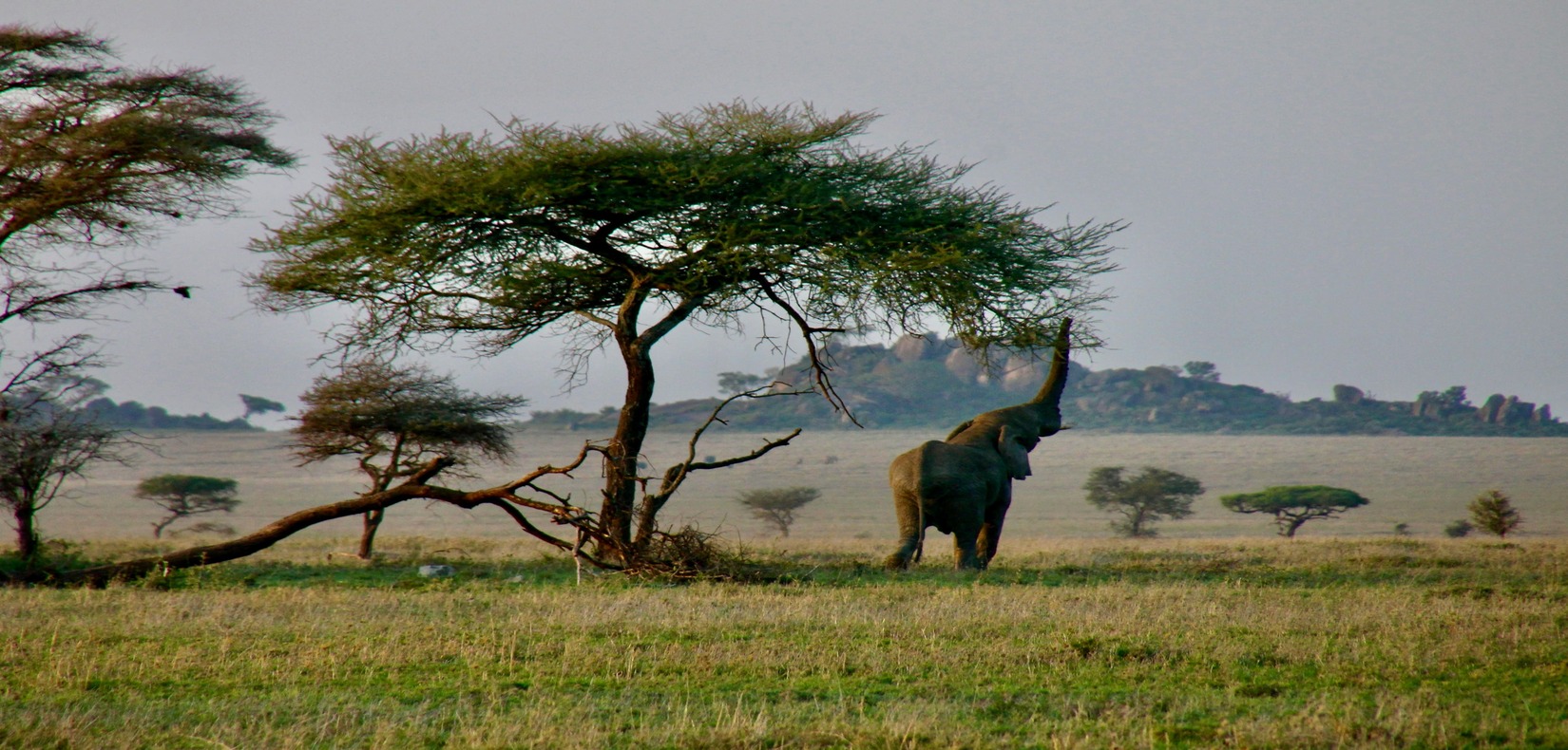 Horn + East Africa Grand Tour — 21 Days kai-putter-l7OSismNsyM-unsplash (1) (1)
